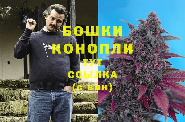 сатива Арсеньев