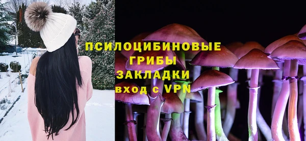 сатива Арсеньев