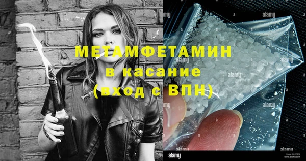 прущие грибы Каменск-Шахтинский