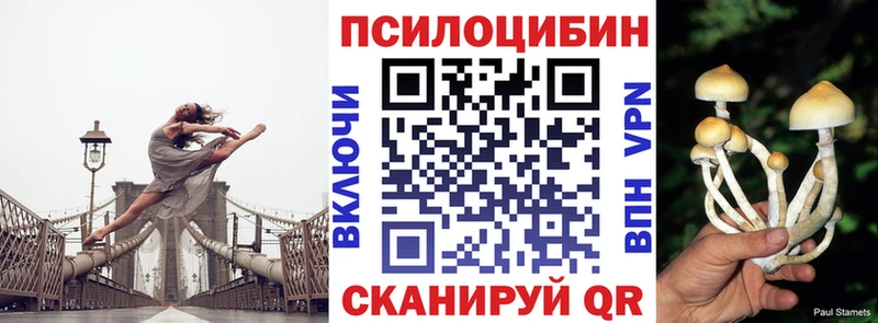 Галлюциногенные грибы мицелий  Полесск 